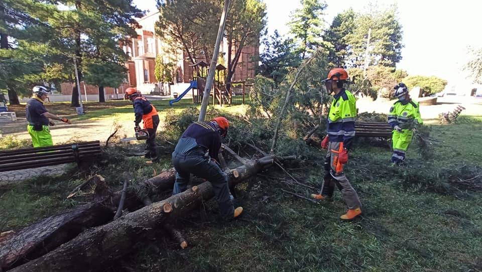 La Protezione Civile rimette in sicurezza i giardini di via Marconi a Canegrate