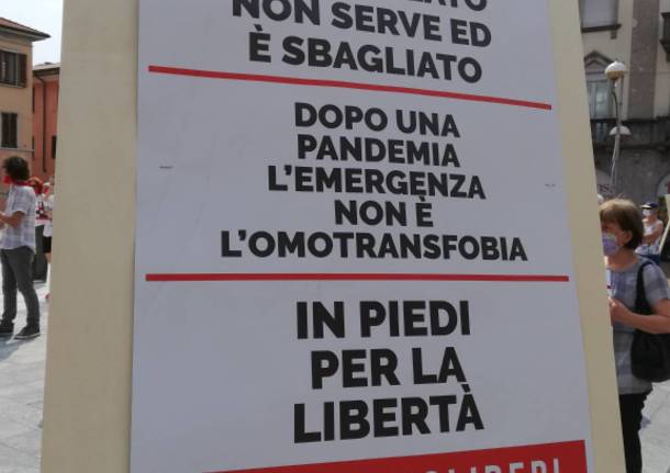 Manifestazione contro il ddl Zan sull’omotransfobia