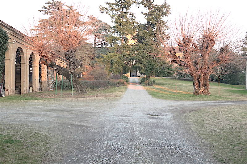 Origgio generico