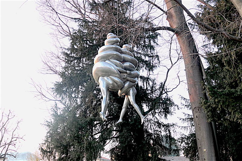 Origgio generico