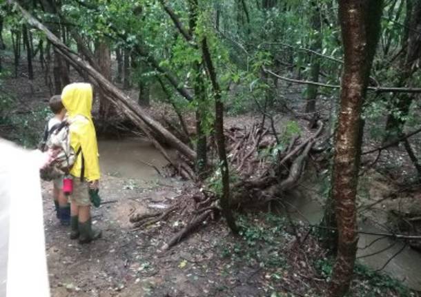 Parco delle Groane: sotto la pioggia i bambini si riprendo l’ex bosco della droga a Ceriano Laghetto