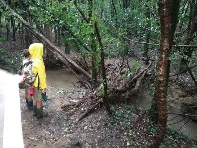 Parco delle Groane: sotto la pioggia i bambini si riprendo l'ex bosco della droga a Ceriano Laghetto