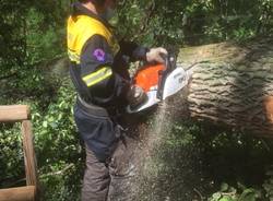 Parco delle Groane: volontari al lavoro per liberare i sentieri dagli alberi abbattuti dal nubifragio