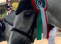 Pony da premio a Casale Litta