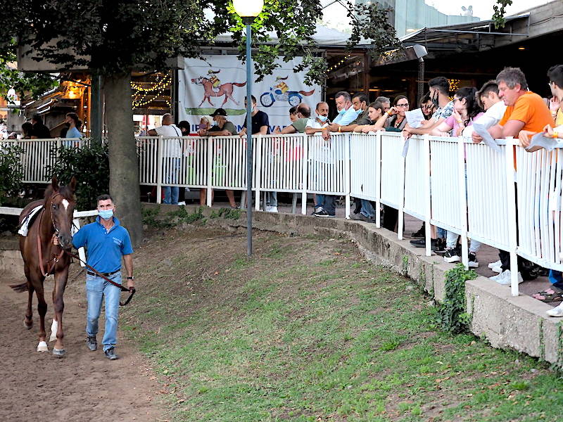 Sabato sera all'ippodromo Le Bettole di Varese