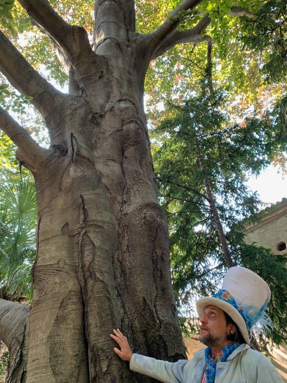 Spettacoli per Il respiro e la maschera del 2 agosto