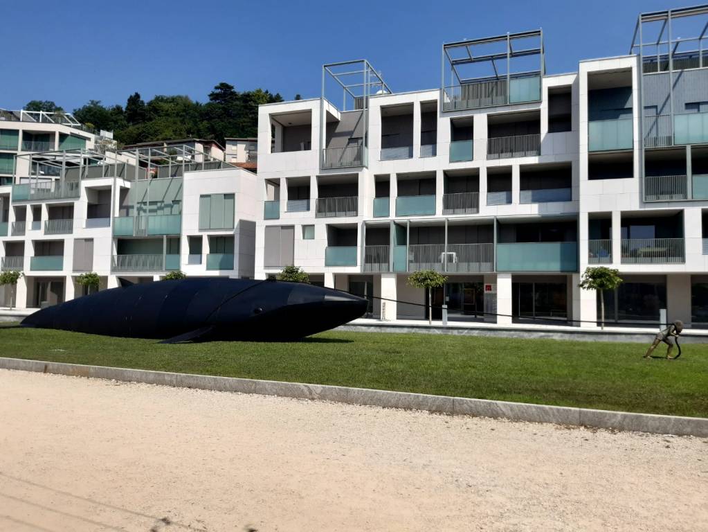 Una balena sul lungolago di Laveo