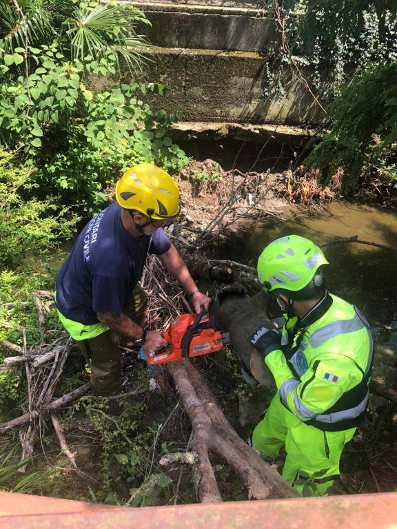 Usmate Velate, pulizia del Molgora: la Protezione Civile rimuove tre alberi nell’alveo