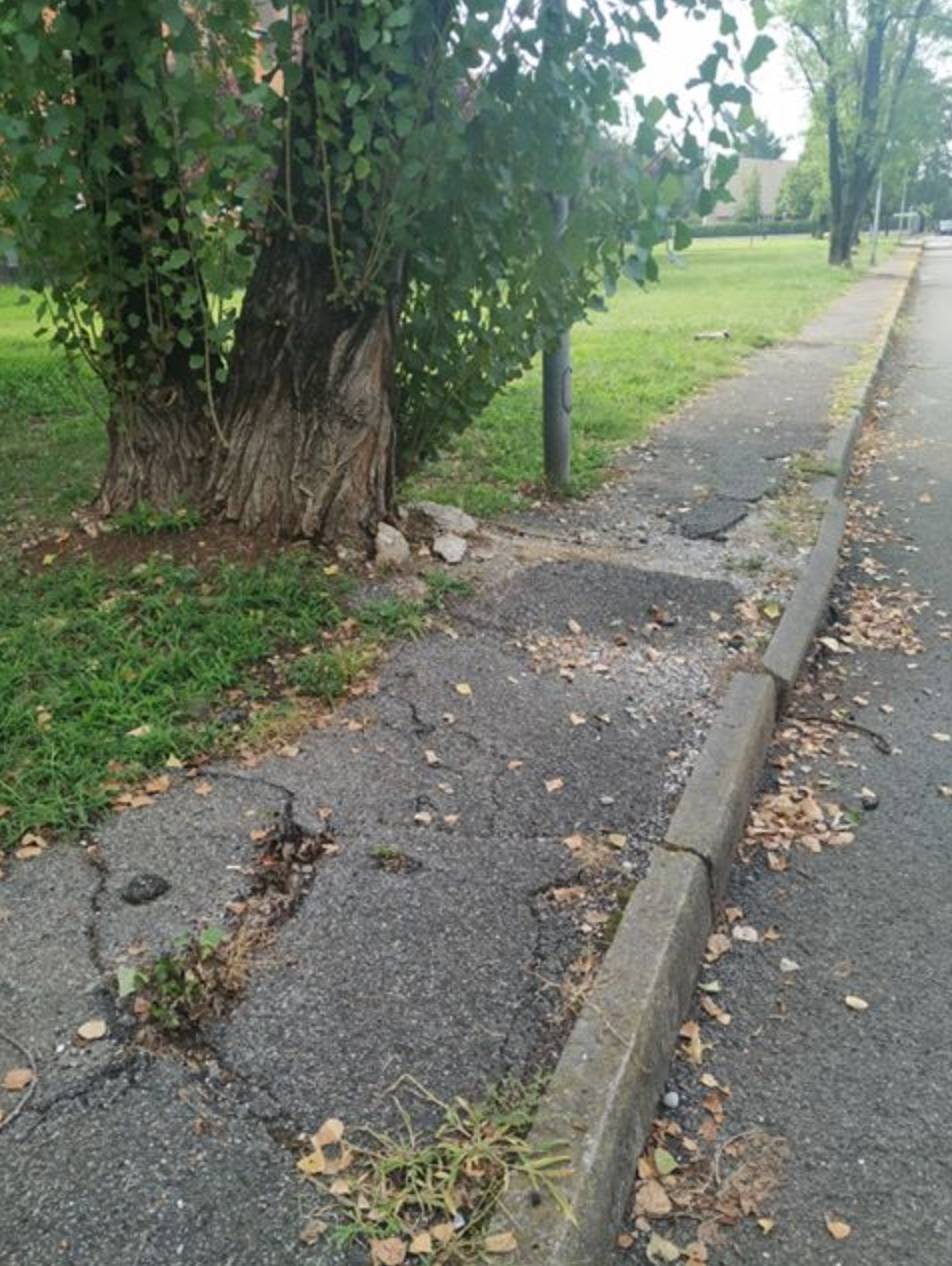 Buche in via Nazario Sauro a Legnano 