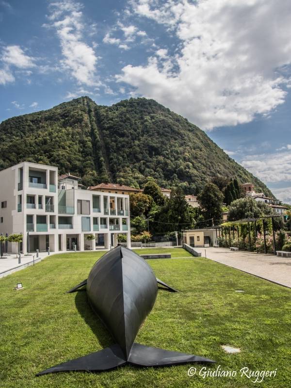 Forza e determinazione, \"Gaia e la Balena\"