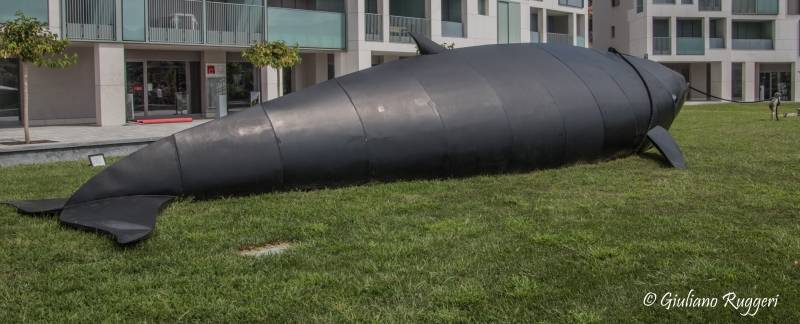 Forza e determinazione, \"Gaia e la Balena\"