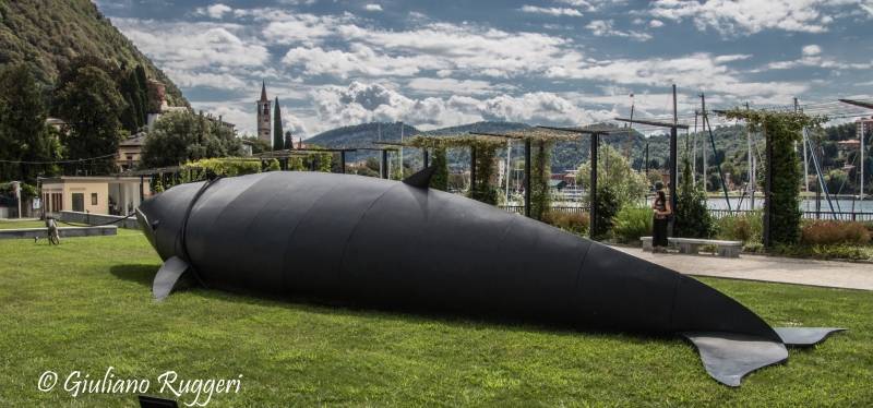 Forza e determinazione, \"Gaia e la Balena\"