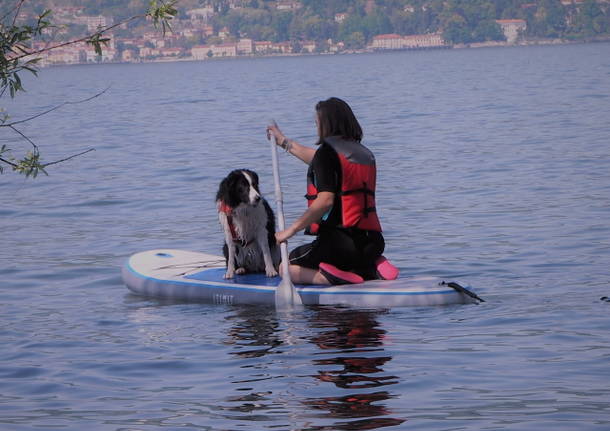 ciac associazione cinofila cani uisp varese