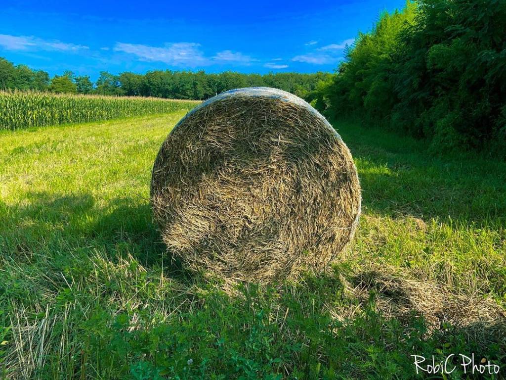 foto del giorno mese di agosto 2020