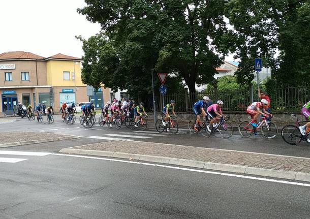 grande trittico lombardo passaggio saronno