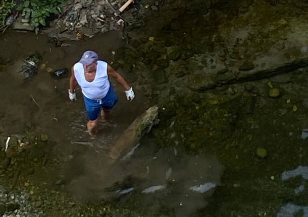 Lavori al greto del torrente Lura