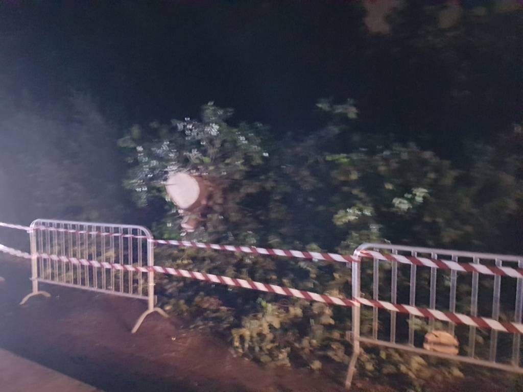 Maltempo, quattro alberi caduti in via Marelli a Cerro Maggiore