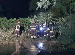 Maltempo, quattro alberi caduti in via Marelli a Cerro Maggiore