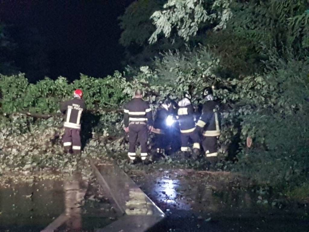 Maltempo, quattro alberi caduti in via Marelli a Cerro Maggiore