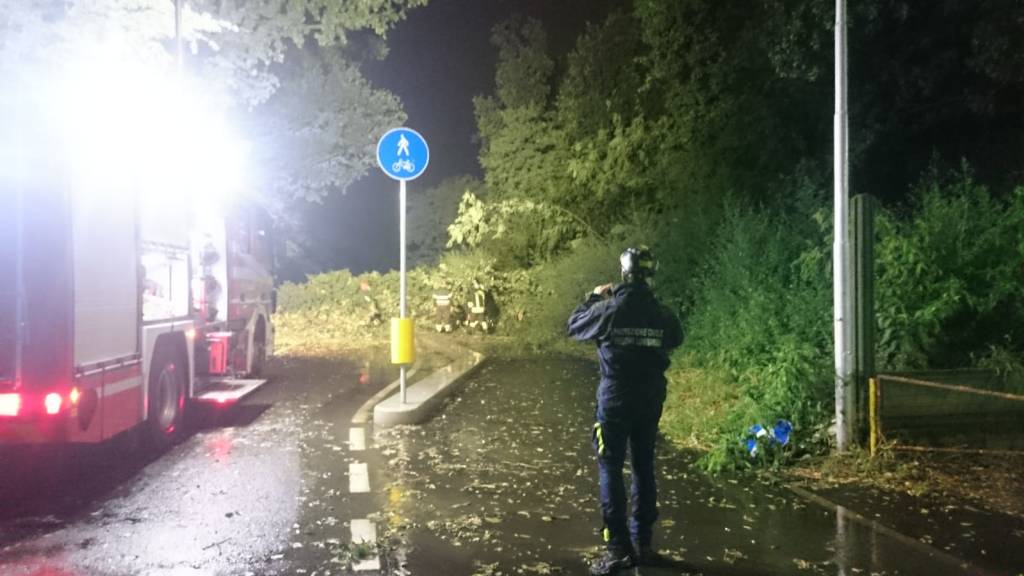 Maltempo, quattro alberi caduti in via Marelli a Cerro Maggiore