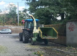 Manutenzione verde a Legnano