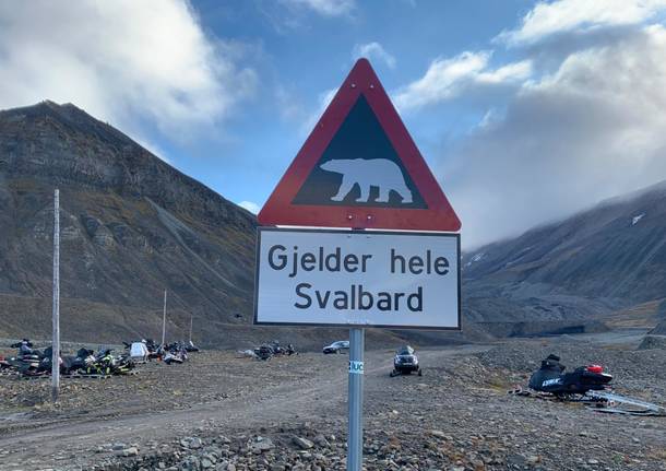 Orso polare uccide un turista