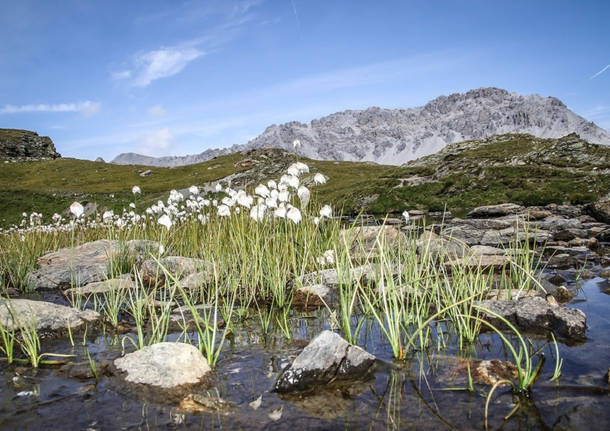 passo dello stelvio