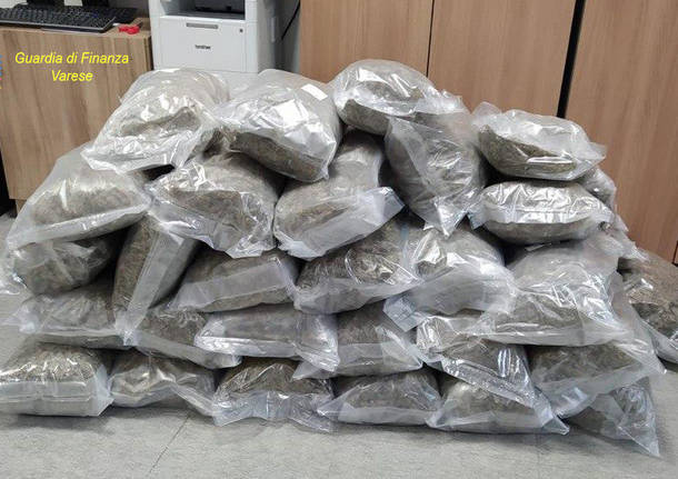 sequestro marijuana guardia di finanza