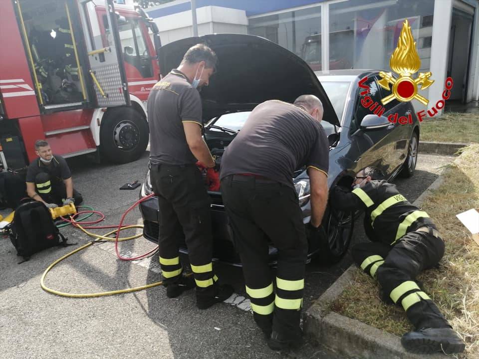 Settimo Milanese - Vigili del fuoco al lavoro per un gatto nel vano motore
