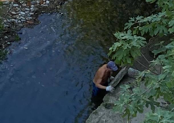 Spostamento di sassi nel greto del Lura. Banfi interroga l’amministrazione comunale