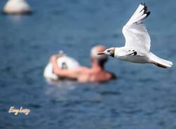 Un sabato d'estate sul lago Maggiore