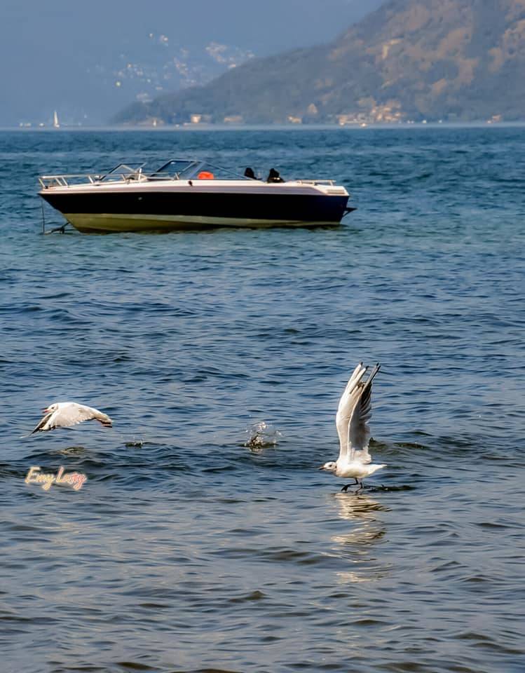 Un sabato d'estate sul lago Maggiore
