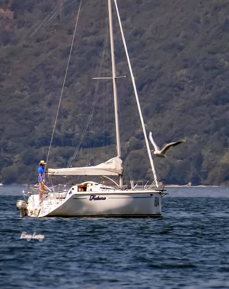 Un sabato d'estate sul lago Maggiore