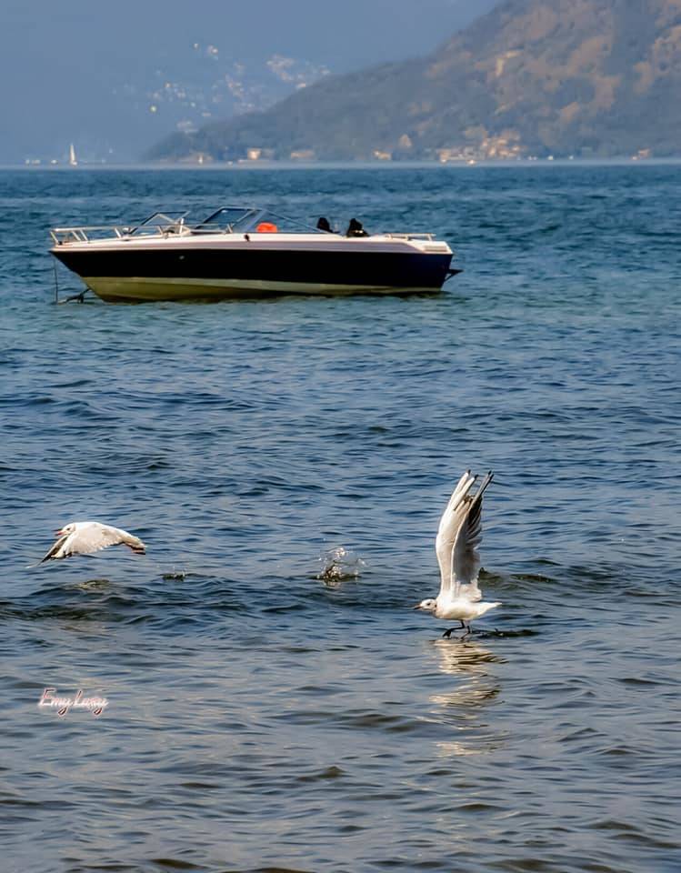 Un sabato d'estate sul lago Maggiore