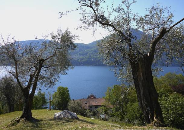 Villa Carlotta - Giardini