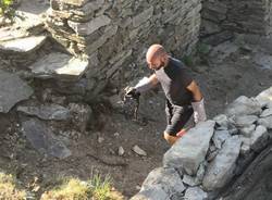 Vipere Val Grande