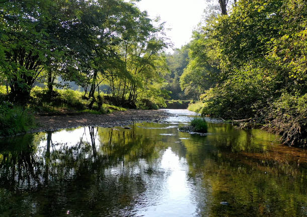 Va in giro, ultima settimana al via: da Malnate a Porto Ceresio lungo il Parco della Valle Lanza