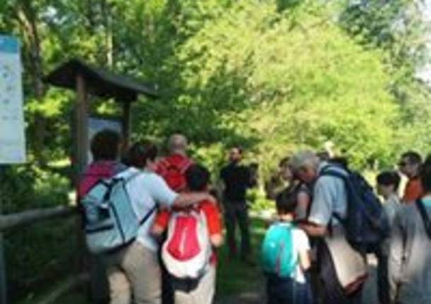 bioblitz