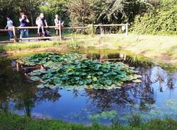 Bioblitz al Parco Lura, rilevate 55 diverse specie