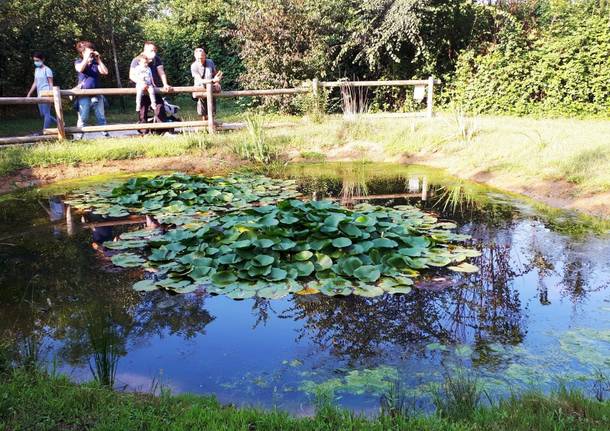 Bioblitz al Parco Lura, rilevate 55 diverse specie