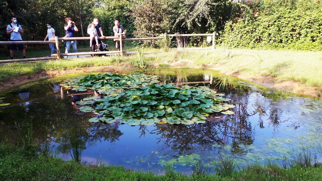 Bioblitz al Parco Lura, rilevate 55 diverse specie