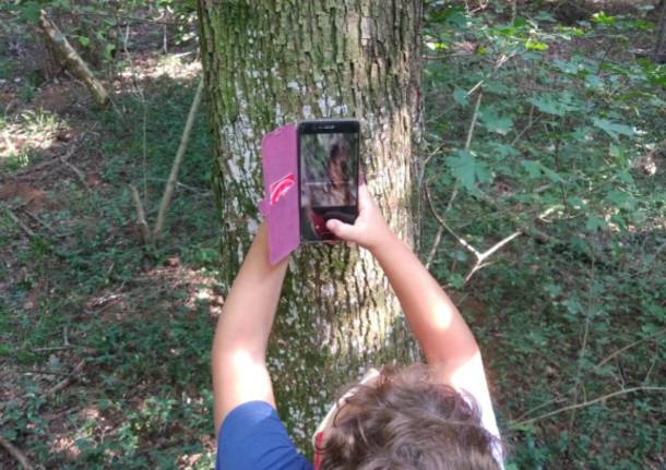 Bioblitz al Parco Lura, rilevate 55 diverse specie