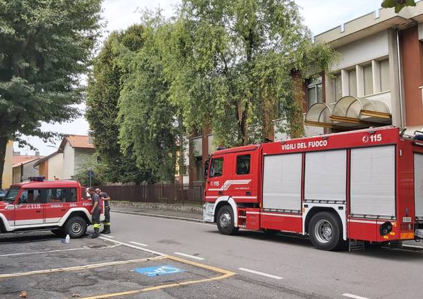 bonifica vespe a Castellanza 11 settembre