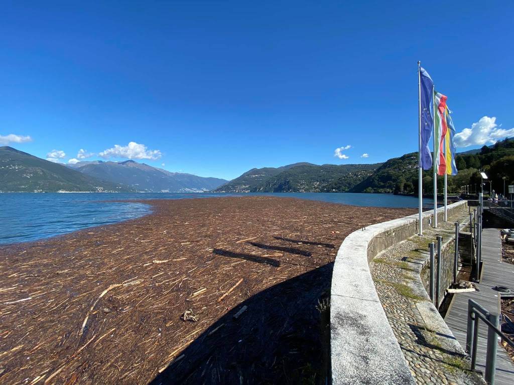 La \"marea\" su alberi e legname sul Lago Maggiore