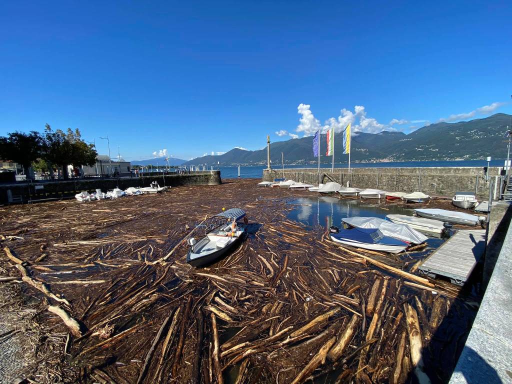 La \"marea\" su alberi e legname sul Lago Maggiore