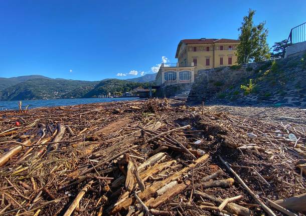 Una “marea” di alberi e legname sul Lago Maggiore