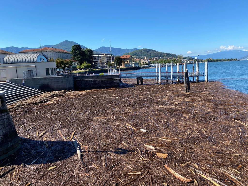 La \"marea\" su alberi e legname sul Lago Maggiore