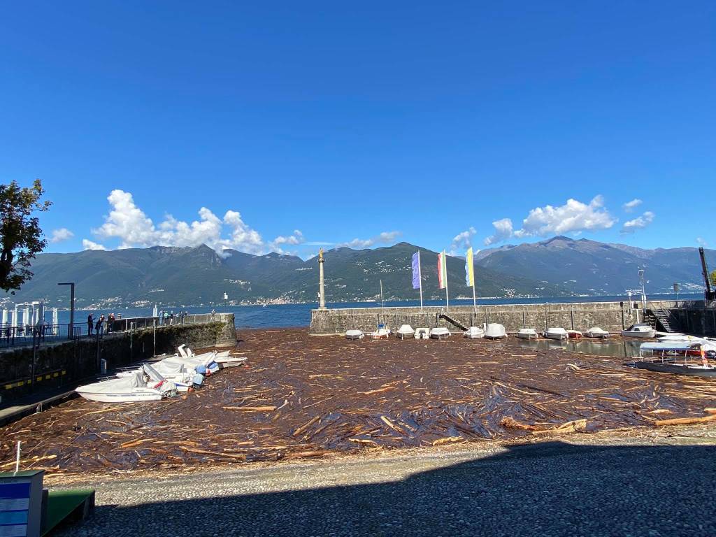 La \"marea\" su alberi e legname sul Lago Maggiore