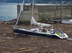 La \"marea\" su alberi e legname sul Lago Maggiore