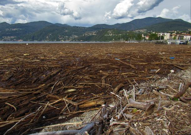 La \"marea\" su alberi e legname sul Lago Maggiore